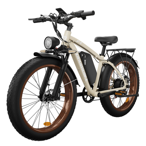 BLUVALL Zeegr F1 single l000w Electric Bike  Fat Tire electric bicycle